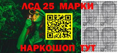 гидропоника Аша
