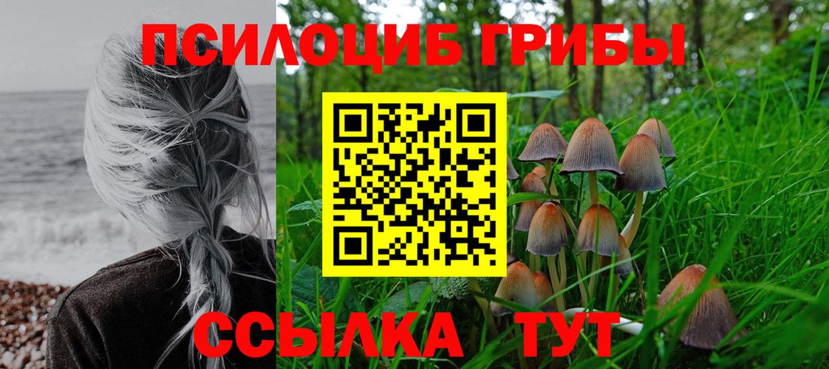 Псилоцибиновые грибы прущие грибы  Вход с VPN  Псилоцибиновые грибы мицелий  Белорецк 