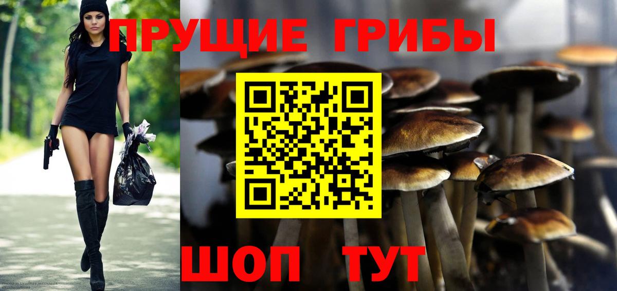 Галлюциногенные грибы прущие грибы Белорецк
